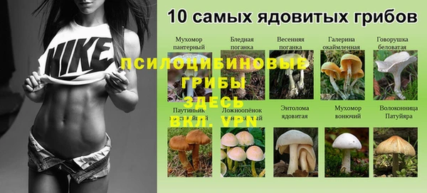 твердый Беломорск
