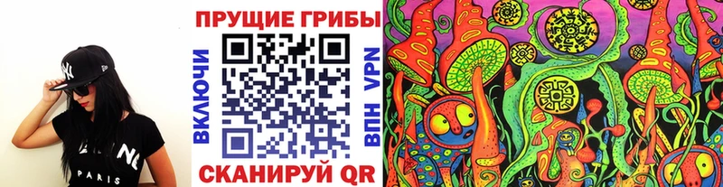 Галлюциногенные грибы Magic Shrooms  мега сайт  Кашин 